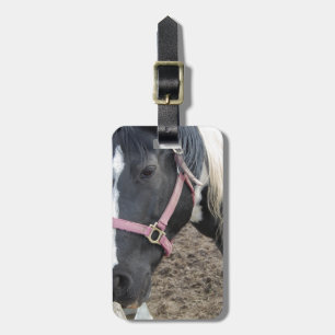 Paint Pinto Horse Luggage Tag