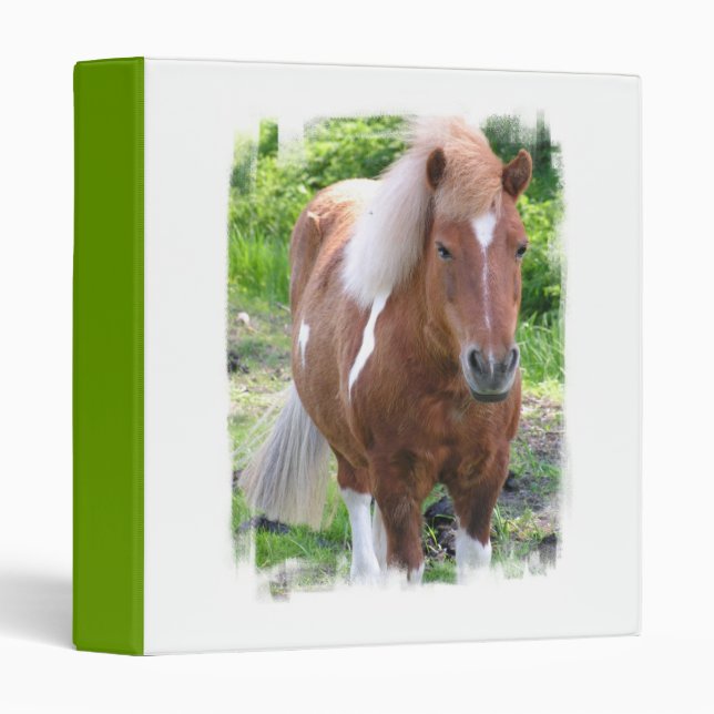 Paint Quarter Horse Binder (Front/Spine)