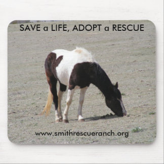 PAINT~SAVE a LIFE, ADOPT a RESCUE Mousepad