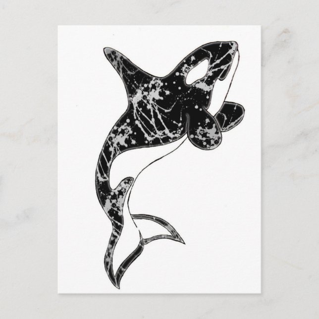 Paint Splatter Orca Art Postcard (Front)