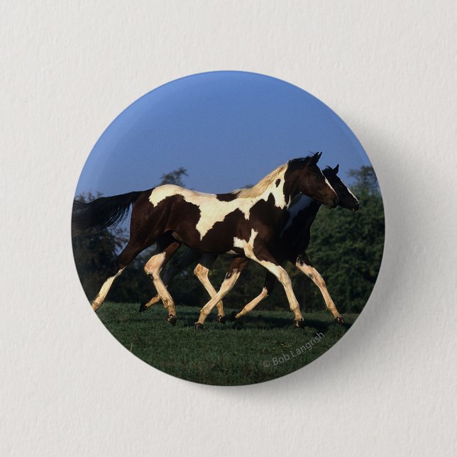 Paint Yearlings Running 2 Inch Round Button (Front)