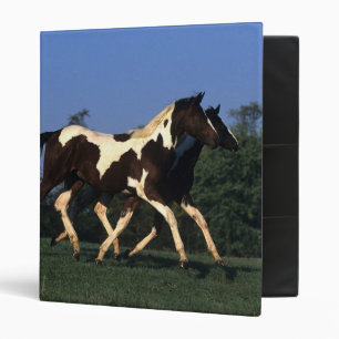 Paint Yearlings Running Binder