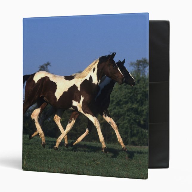 Paint Yearlings Running Binder (Front/Inside)
