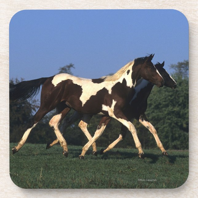Paint Yearlings Running Coaster (Front)