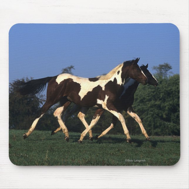 Paint Yearlings Running Mouse Pad (Front)