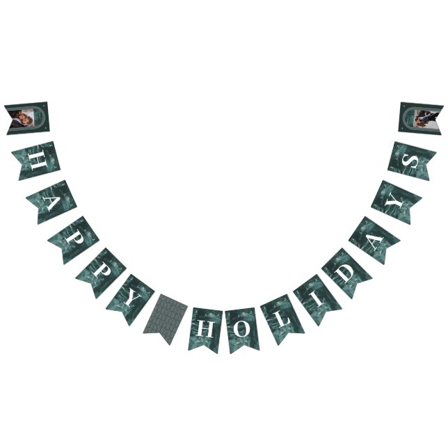 Painted Arch Holiday Party Bunting Banner - Teal (All)