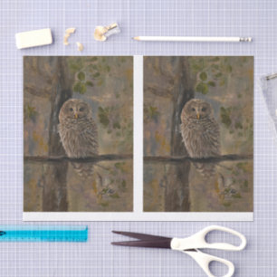 Painted Barred Owl DBL Tissue Paper