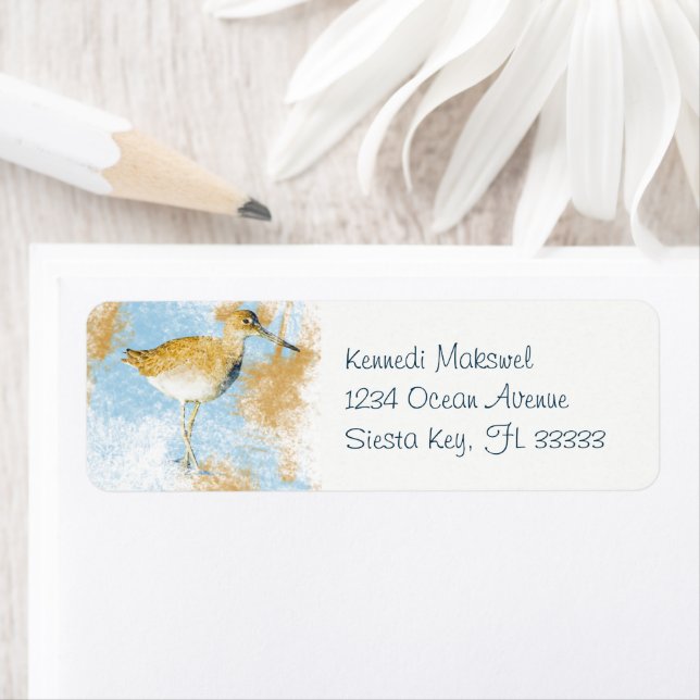 Painted Beach Coastal Willet Bird (Insitu)