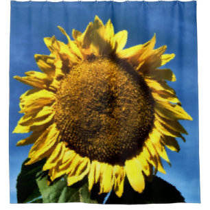 painted big yellow sunflower against a blue sky
