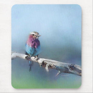 Painted Bird Mouse Pad