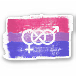 PAINTED BISEXUAL SYMBOL PRIDE FLAG
