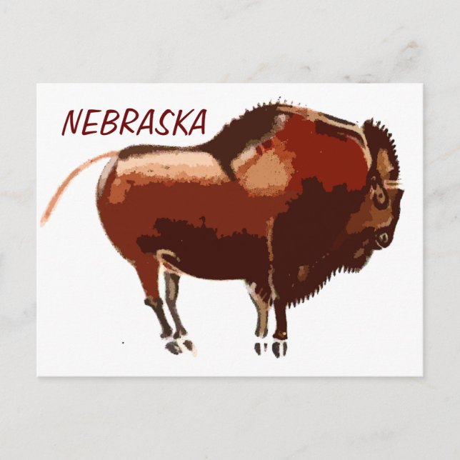 painted bison Nebraska postcard (Front)