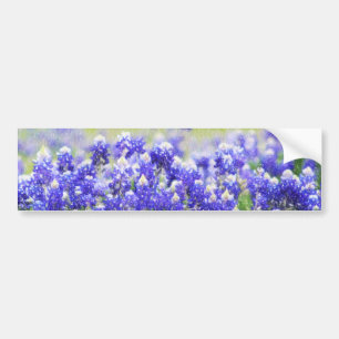 Painted Bluebonnet Long Sticker