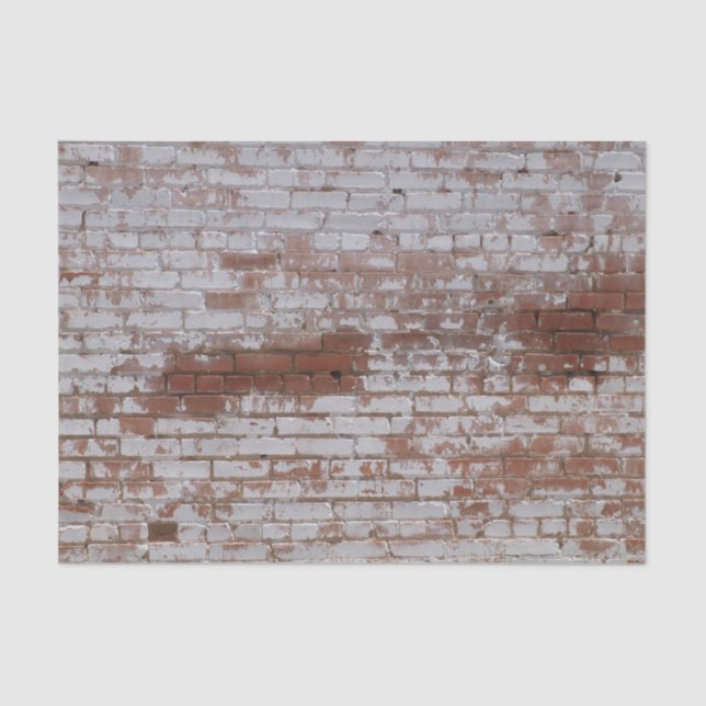 Painted Bricks Tissue Paper (Front)