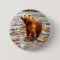 Painted Brown Bear in River Woodland Wildlife