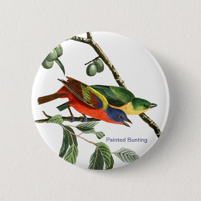Painted Bunting, Audubon, Birdwatcher Finch Bird, 2 Inch Round Button (Front)