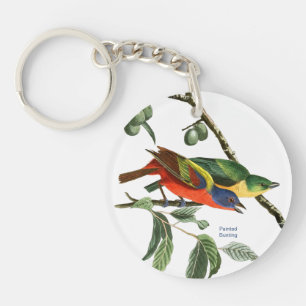 Painted Bunting, Audubon, Birdwatcher Finch Bird, Keychain