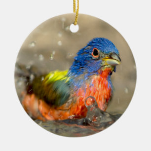 Painted Bunting - Beautiful Birds Ornament