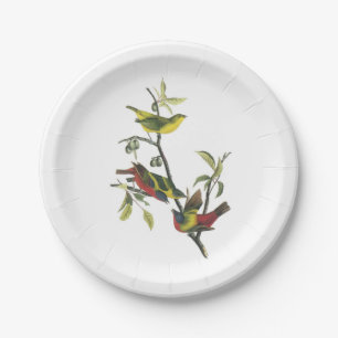 Painted Bunting by Audubon Paper Plate