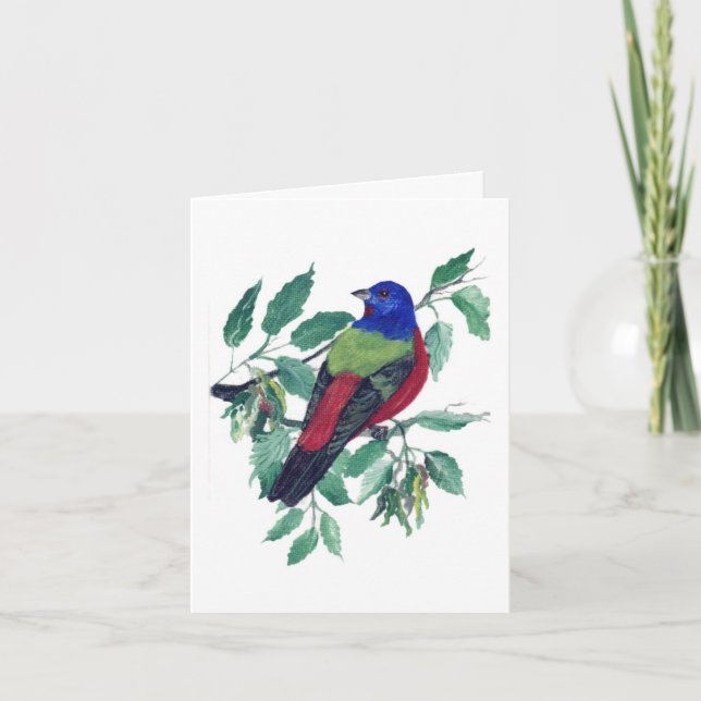 Painted Bunting Greeting Card (Front)