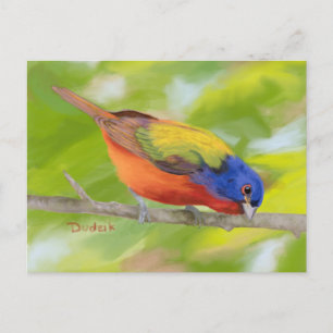Painted Bunting on Limb JW Postcard