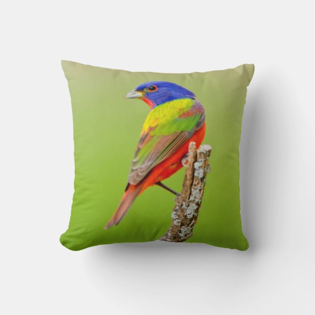 Painted Bunting (Passerina ciris) Male Perched Throw Pillow (Front)