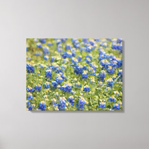 Painted Canvas: Texas Wildflower Bluebonnet Field Canvas Print
