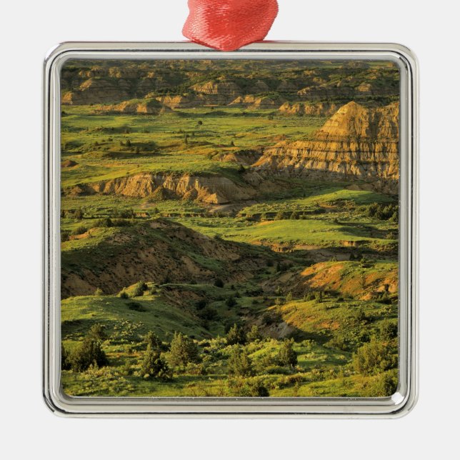 Painted Canyon After Storm in Theodore Roosevelt Metal Ornament (Front)