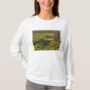 Painted Canyon After Storm in Theodore Roosevelt T-Shirt