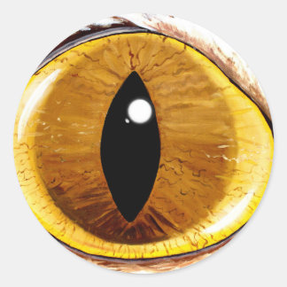 Painted Cat's Eye Classic Round Sticker