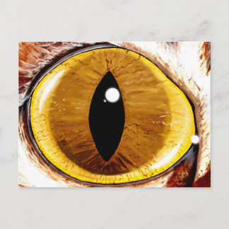 Painted Cat's Eye Postcard