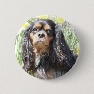 Painted Cavalier King Charles Spaniel 2 Inch Round Button