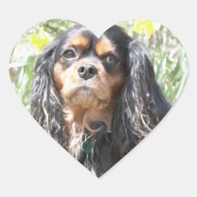 Painted Cavalier King Charles Spaniel Heart Sticker (Front)