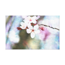 Painted Cherry Blossom Gallery Wrapped Canvas