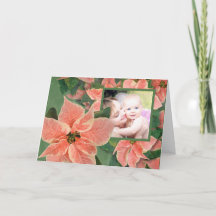 Painted Coral Poinsettia Photo Christmas Card