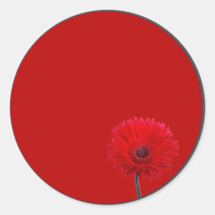 Painted Daisy Classic Round Sticker
