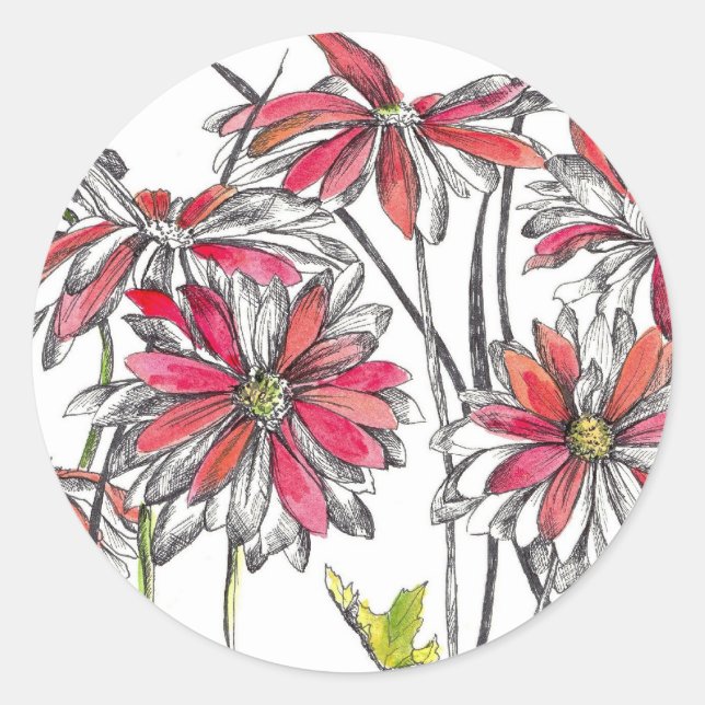 Painted Daisy Flowers Botanical Art Ink Drawing Classic Round Sticker (Front)