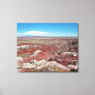 Painted Desert Canvas Print