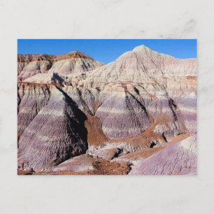 Painted Desert Petrified Forest National Park Postcard