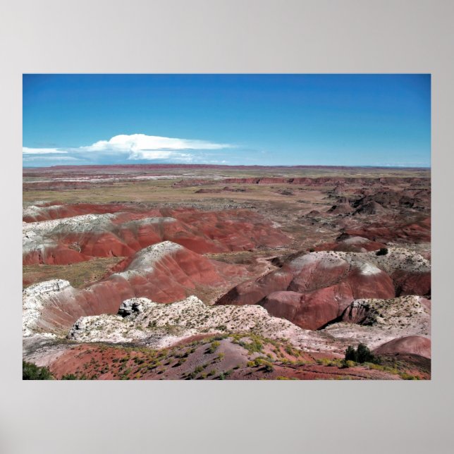 Painted Desert Poster (Front)