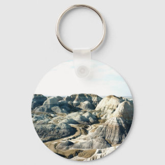 Painted Desert scene 05 Keychain