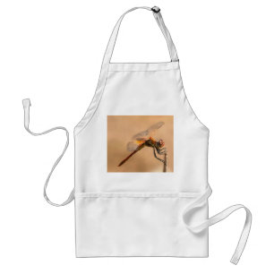 Painted Dragonfly Isolated Against Ecru Standard Apron