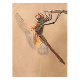 Painted Dragonfly Isolated Against Ecru Tablecloth