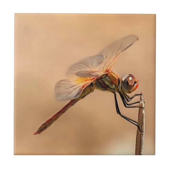 Painted Dragonfly Isolated Against Ecru Tile (Front)