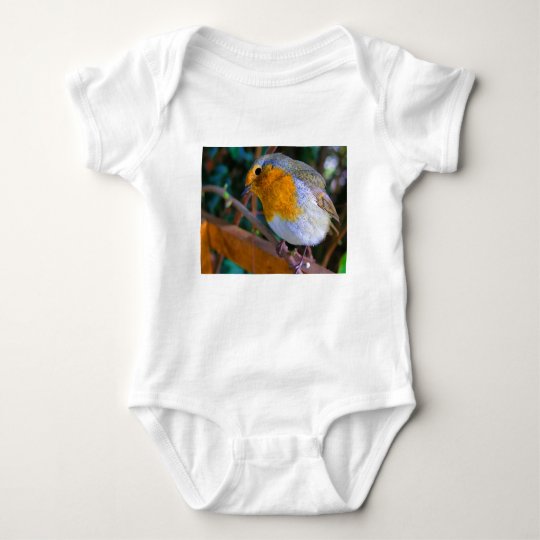 Painted Effect Robin Baby Bodysuit