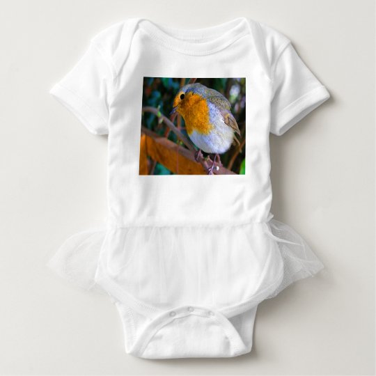 Painted Effect Robin Baby Bodysuit