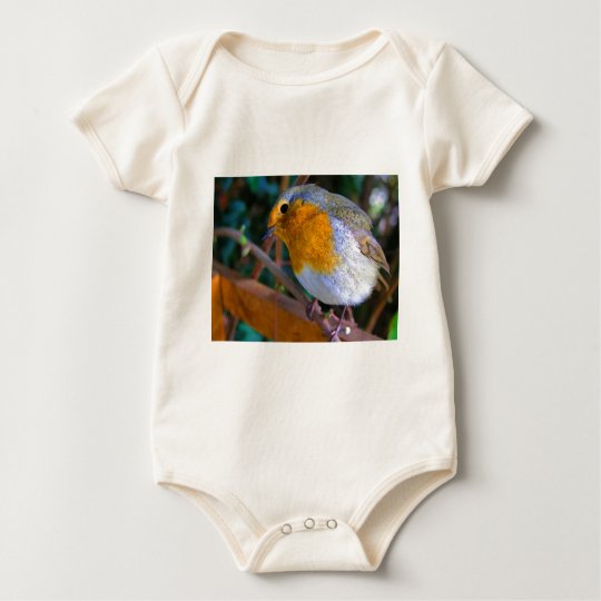 Painted Effect Robin Baby Bodysuit