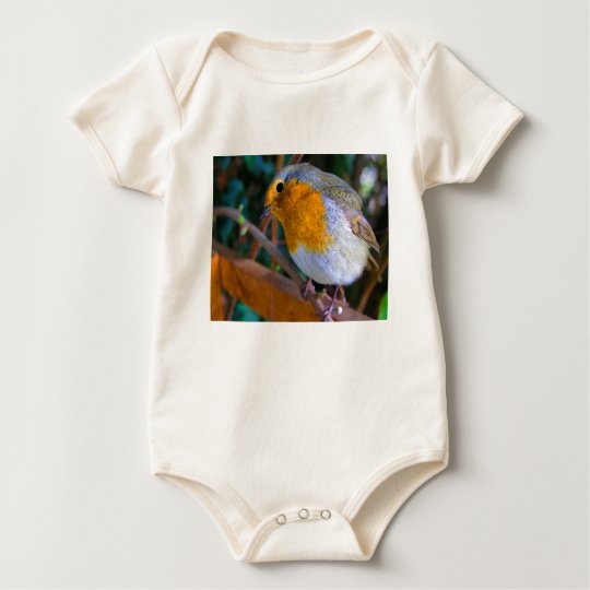 Painted Effect Robin Baby Bodysuit