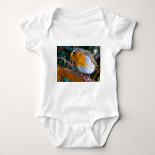 Painted Effect Robin Baby Bodysuit
