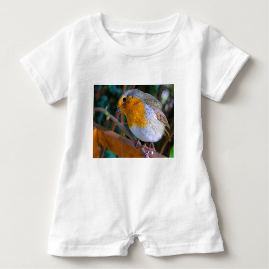 Painted Effect Robin Baby Romper